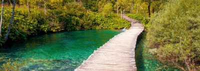 Heidi_schneider_wege Neue Wege gehen